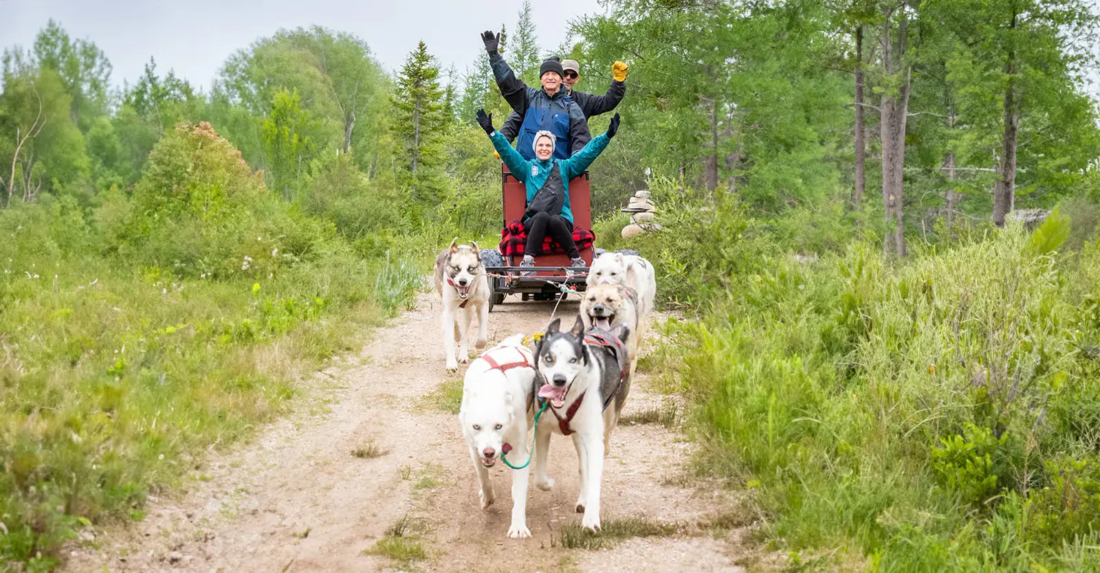 Guests dog carting behind a husky team, Churchill, Manitoba