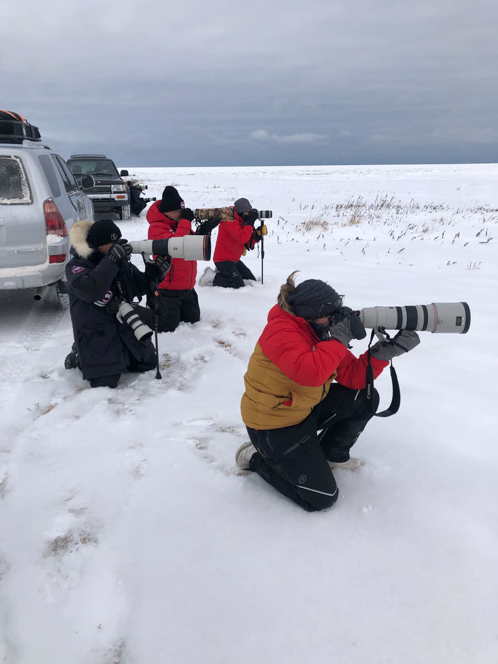 Guests kneeling in the snow with long lenses beside the 4x4 vehicles