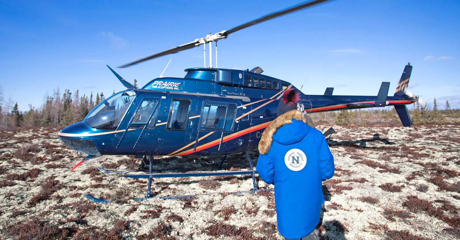 Traveler walking to a helicopter on the tundra near Churchill, Manitoba