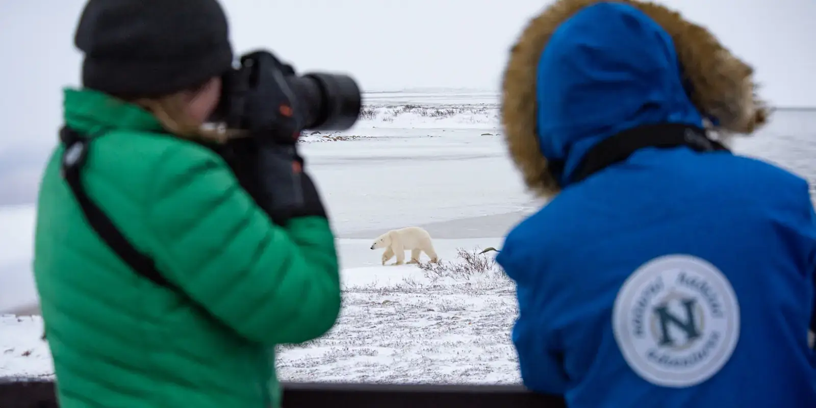 Photographers shooting a polar bear from the Polar Rover deck, Churchill, Manitoba