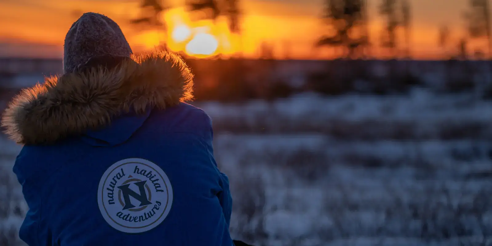 Nat Hab traveler watching the subarctic sunset, Churchill, Manitoba