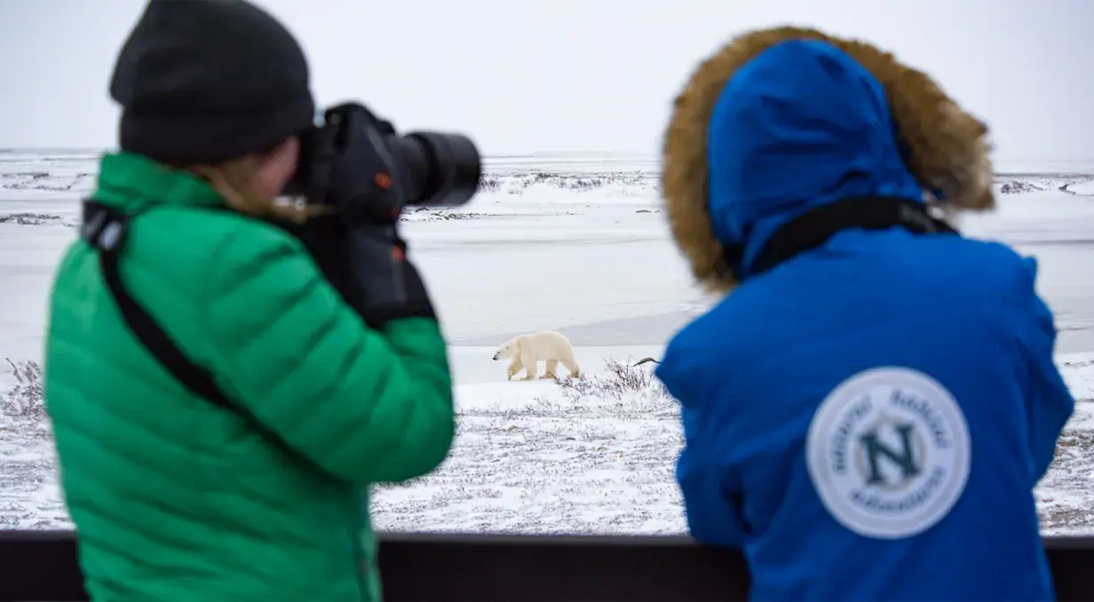 Churchill Polar Bear Photo Expedition
