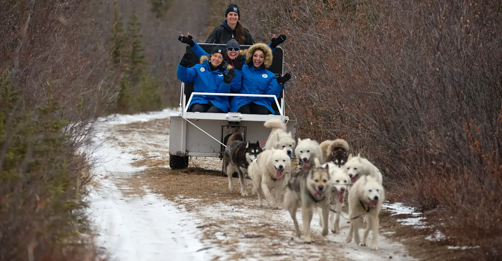 Nat Hab guests dog carting, Churchill, Manitoba