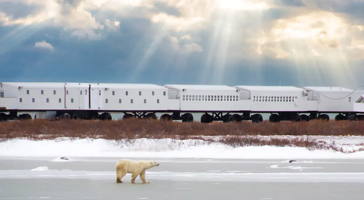 Tundra Lodge Adventure