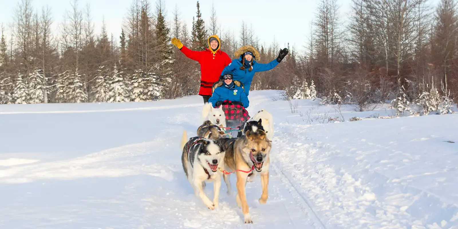 Guests dog sledding through the boreal forest, Churchill, Manitoba
